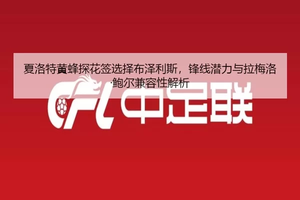 夏洛特黄蜂探花签选择布泽利斯，锋线潜力与拉梅洛·鲍尔兼容性解析